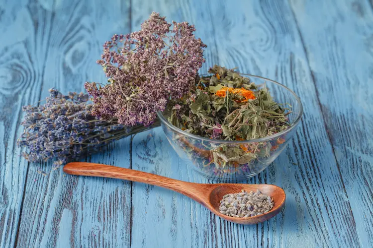 Herbs for eczema
