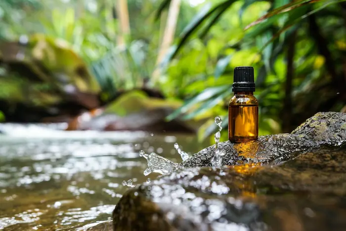 Homeopathic remedies for discoid eczema