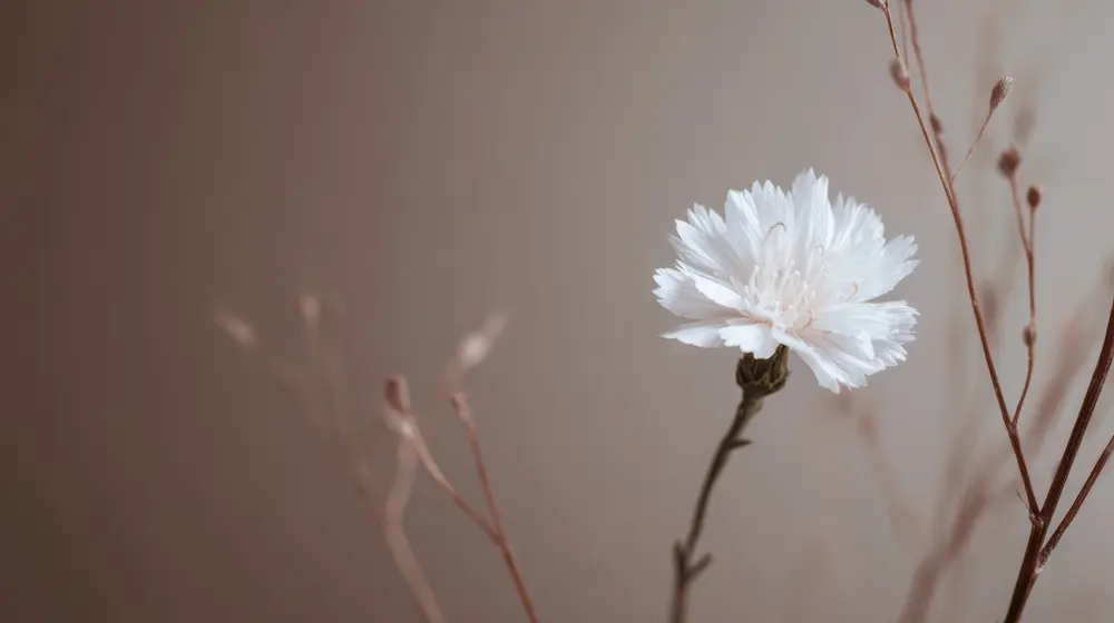 Homeopathy for Perioral Dermatitis